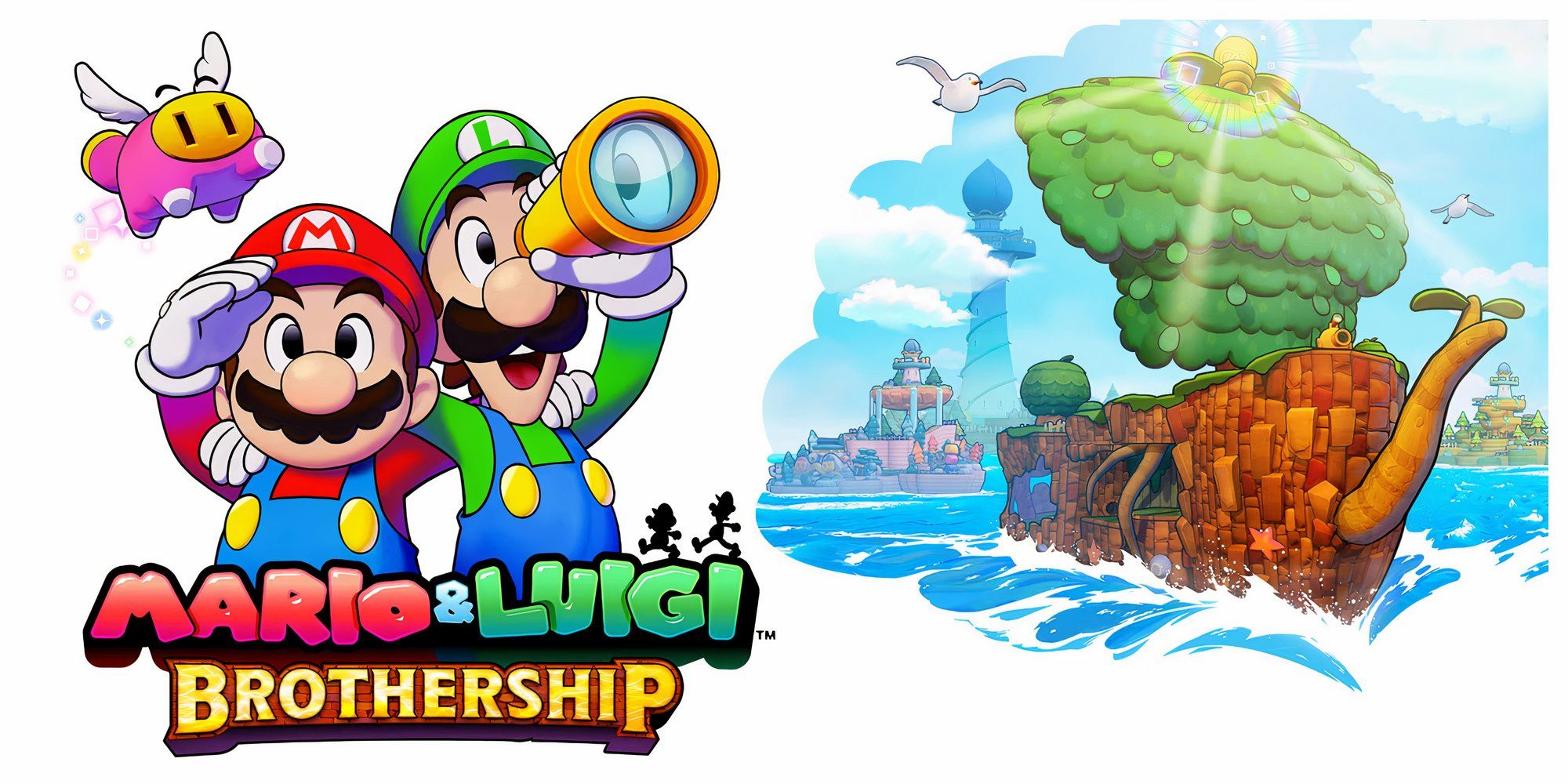 Mario & Luigi: Brothership Assessment