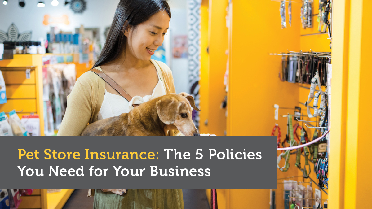 The 5 Insurance policies You Want for Your Enterprise